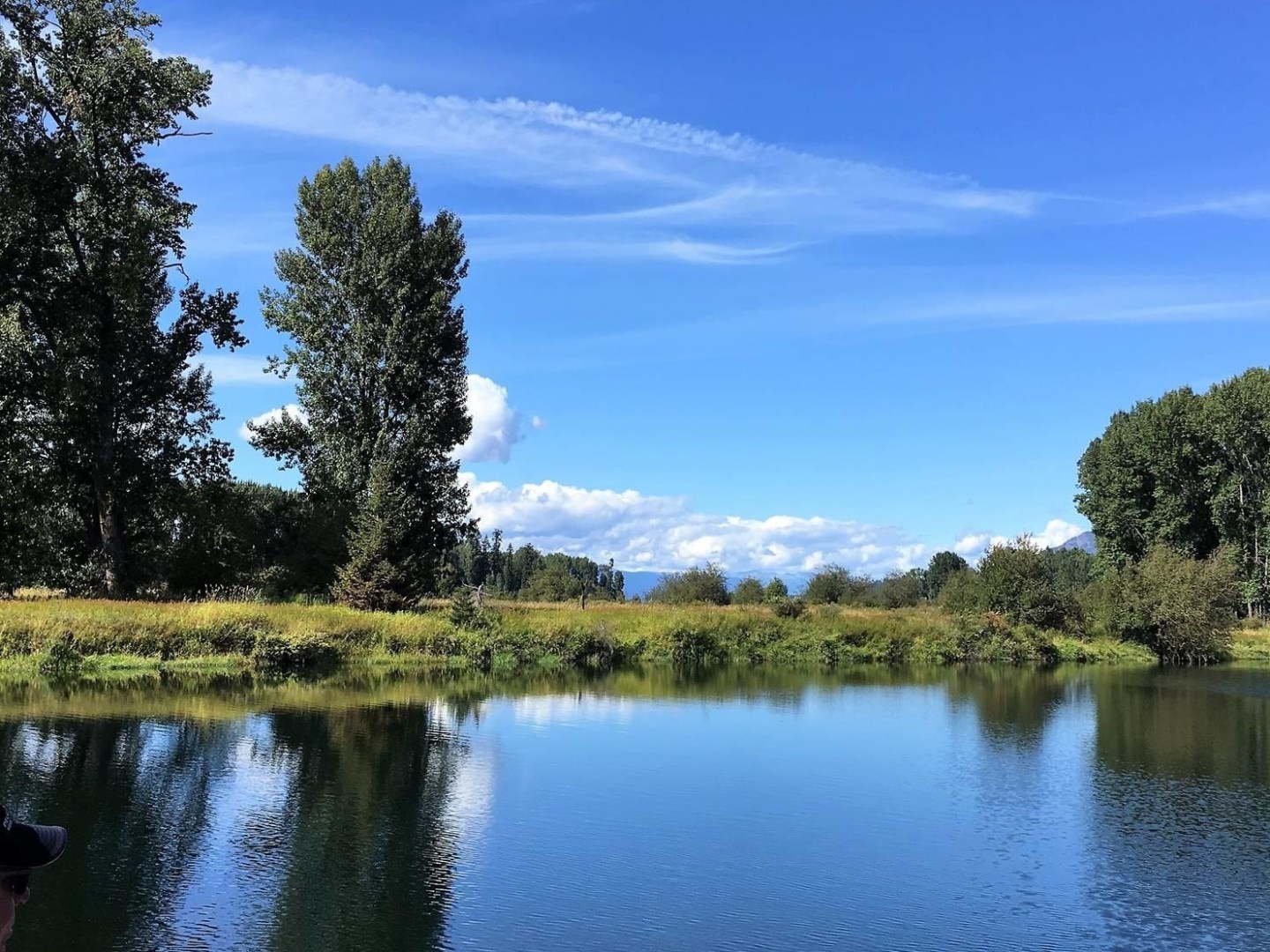 a body of water surrounded by trees