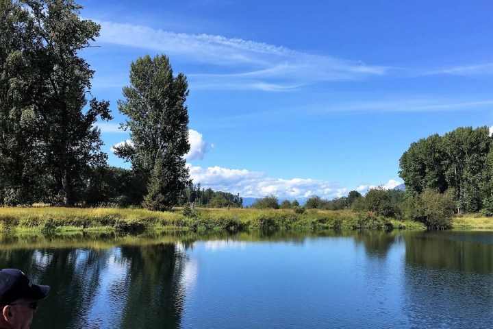 a body of water surrounded by trees